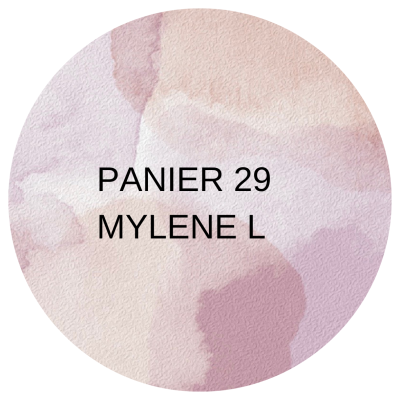 PANIER 29 VENTE LIVE -...